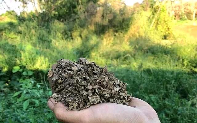 这样使用花生壳(如何使用花生壳)