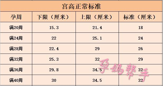 准妈妈在家就能测量宫高、腹围和体重