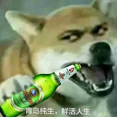 搞笑表情包：看着我的眼睛再说一遍