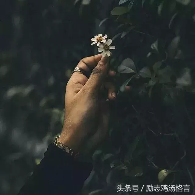 周五心语：做人，要有骨气；做事，要有担当！句句受益匪浅，精辟