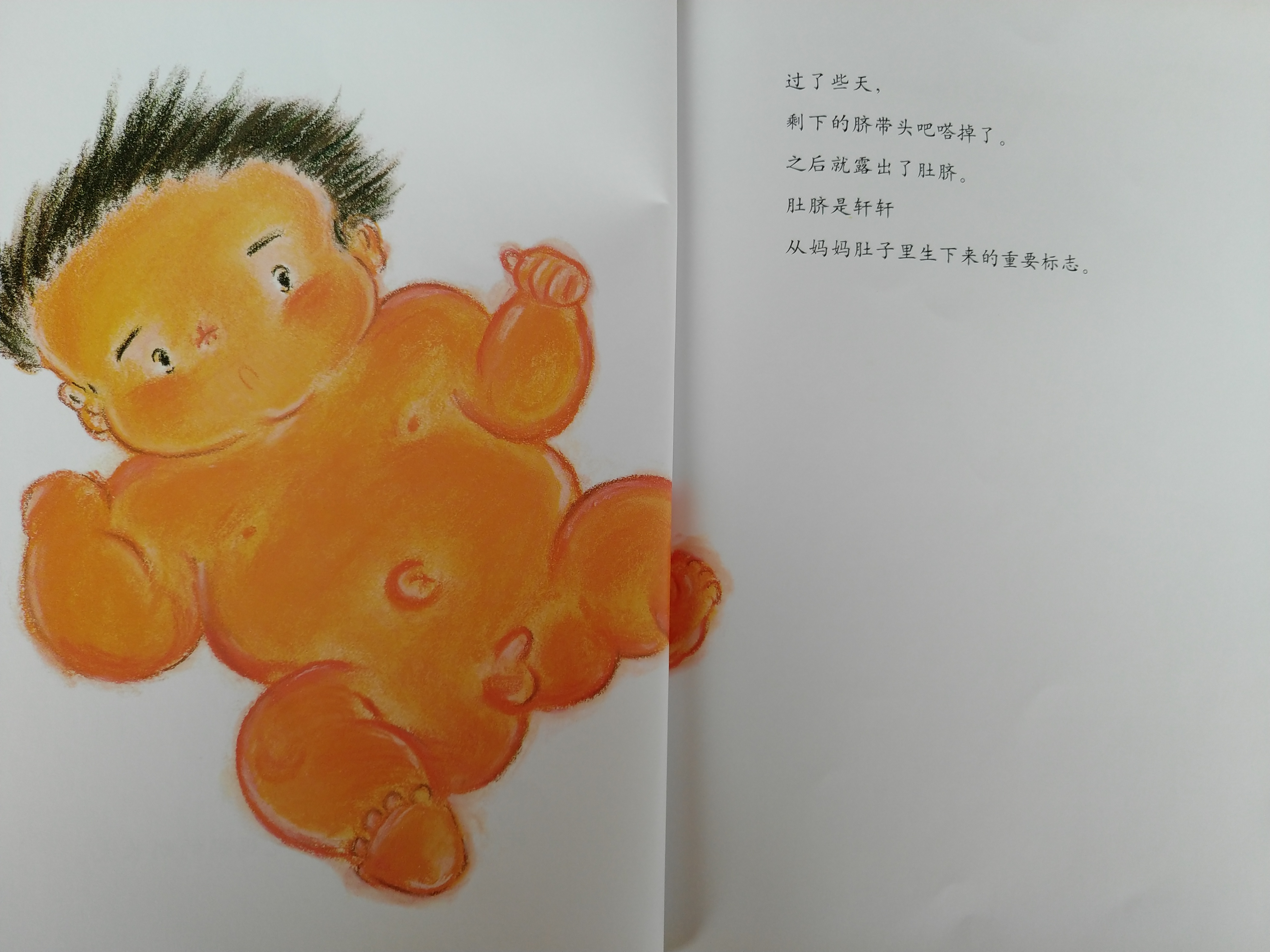 有声绘本故事《肚脐，你好吗？》