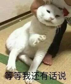 可爱猫咪表情包：以后做两只陌生的猫吧