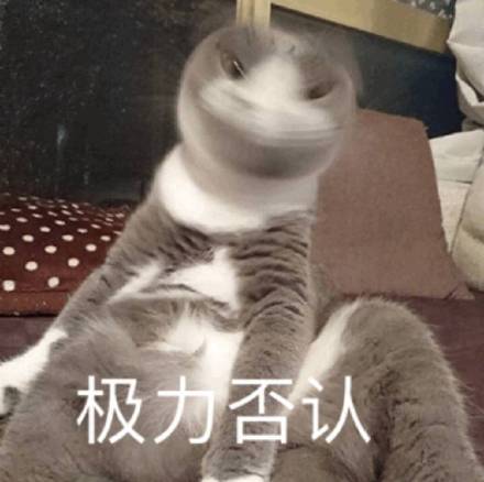 可爱猫咪表情包：以后做两只陌生的猫吧