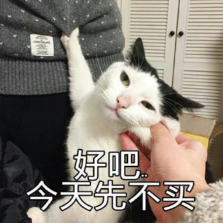 可爱猫咪表情包：以后做两只陌生的猫吧