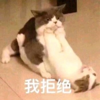 搞笑的猫咪表情包：肯定有什么不可告人的秘密