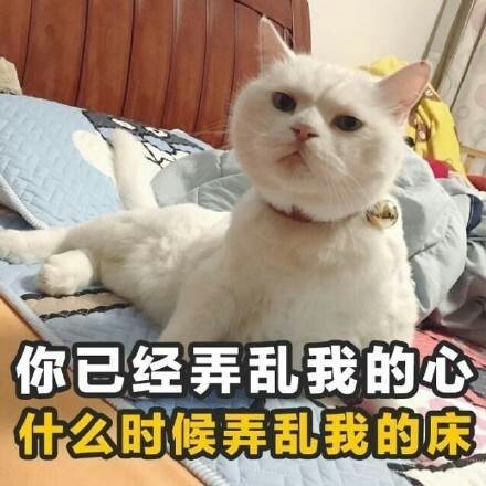 今日份撩妹表情包：我能亲你吗？就一口