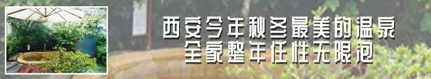全西安尺度最大的鸡店，一个人有点不敢来……