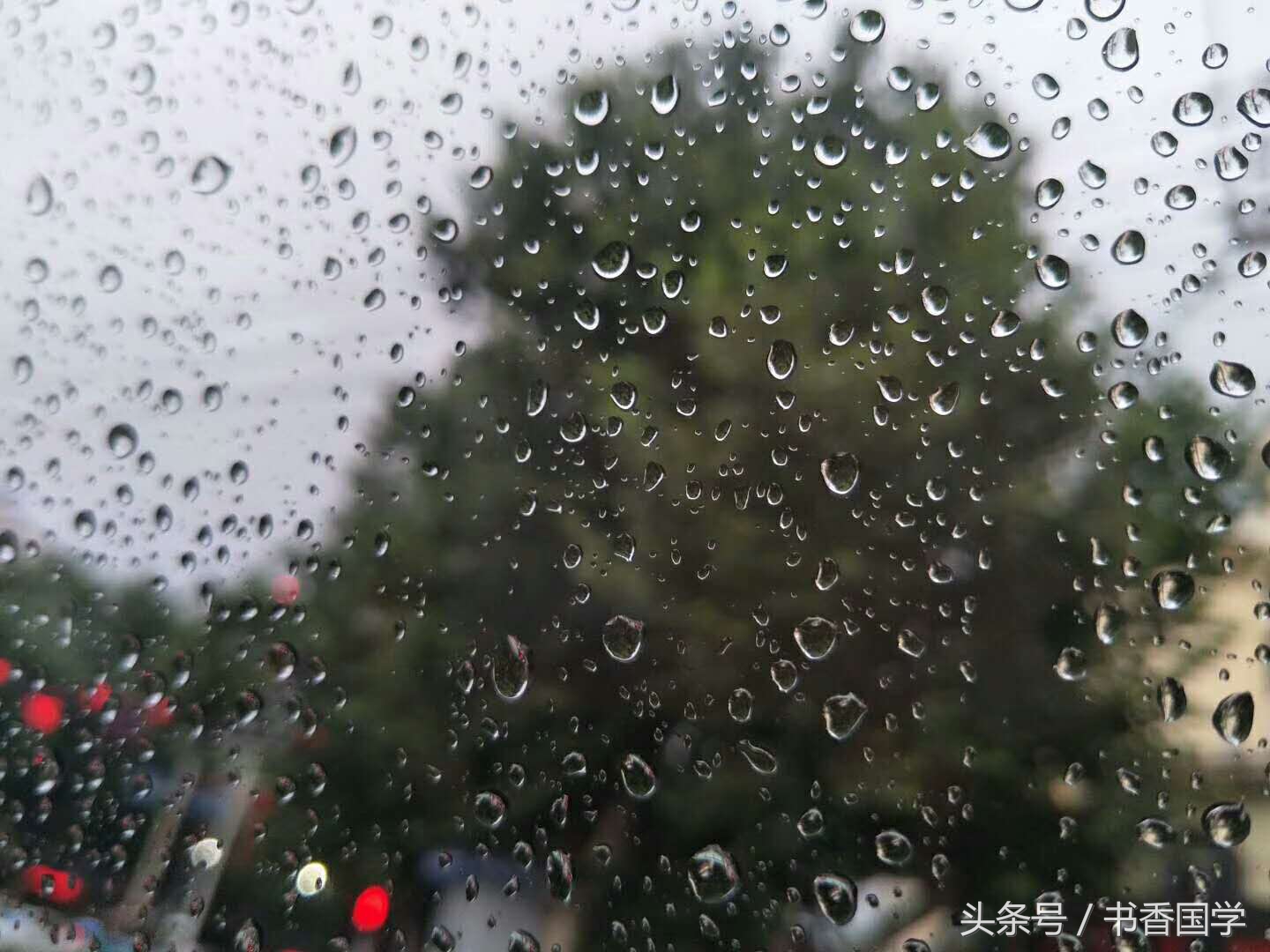 文学名家笔下关于雨的句子，你还知道哪些？