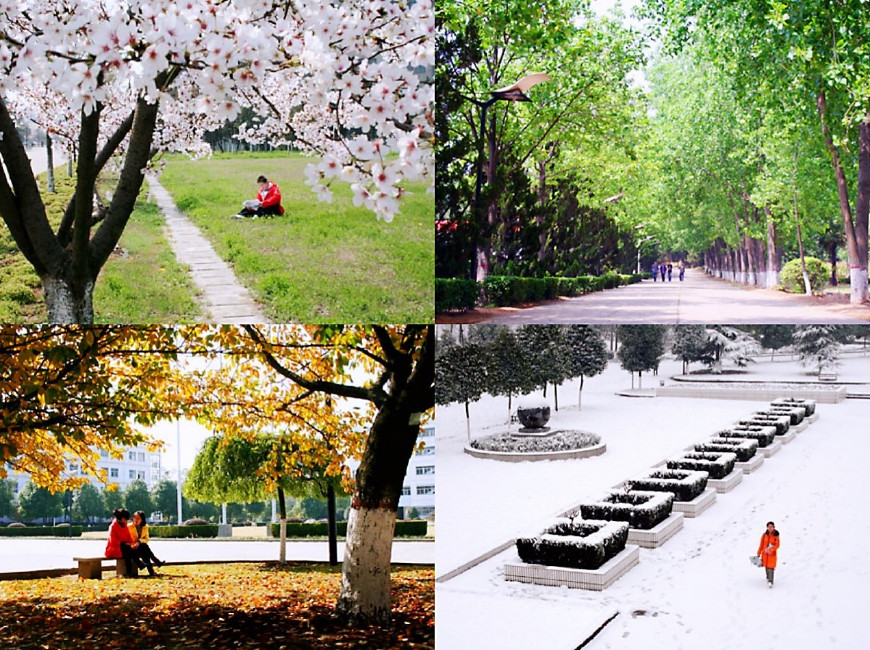 东南大学成贤学院：以工科优势带动国际化教育