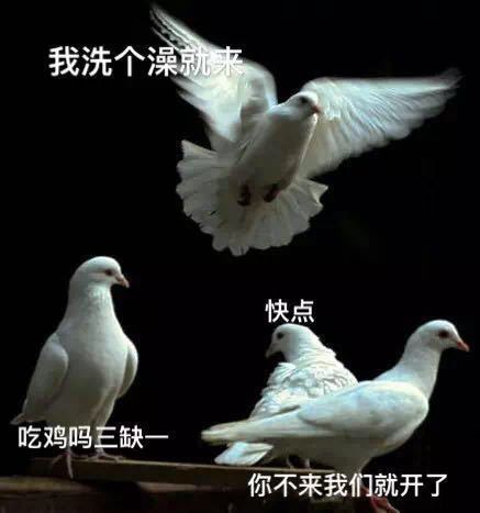 这些魔性的鸽子表情包，让我在国庆假期看透了塑料友情