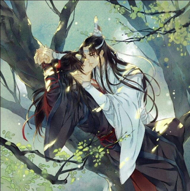 《魔道祖师》20句基情对白：只羡忘羡不羡仙，说是天天就天天