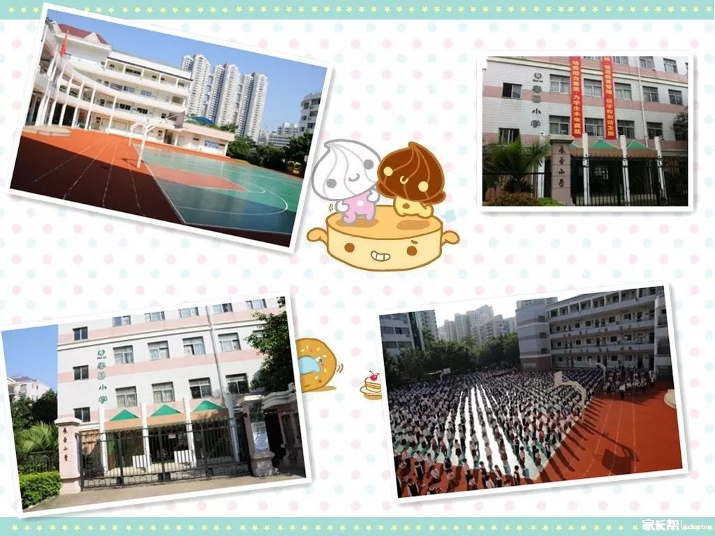 超高升学率，百合外国语的宠儿！揭秘深圳名校春蕾小学！