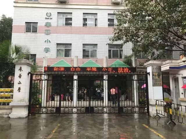 超高升学率，百合外国语的宠儿！揭秘深圳名校春蕾小学！