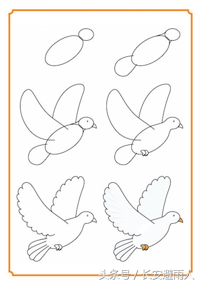 和平鸽的简笔画 一步一步教你画鸽子 - 汽车时代网