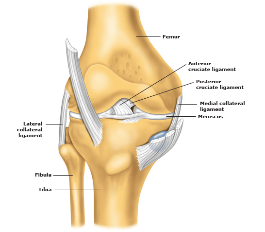 膝关节韧带损伤和修复如何操作？医生一语点破！
