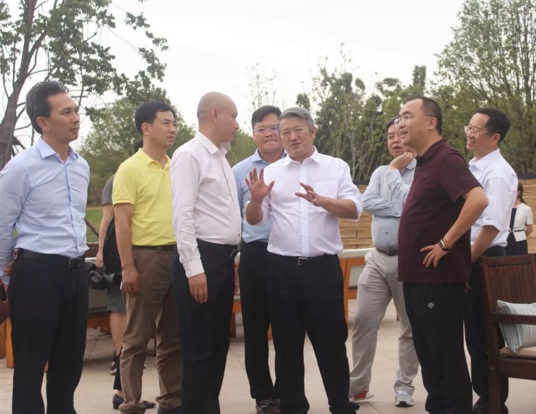 凭什么成为黑马？解读湖北卓尔小镇桃花驿的走红秘诀