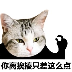 猫咪表情包：你离挨揍只差这么点