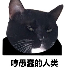 猫咪表情包：你离挨揍只差这么点