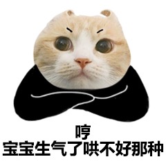 猫咪表情包：你离挨揍只差这么点