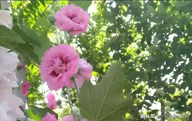 AIR怎么读？联想记忆法教你轻松掌握英语发音规则