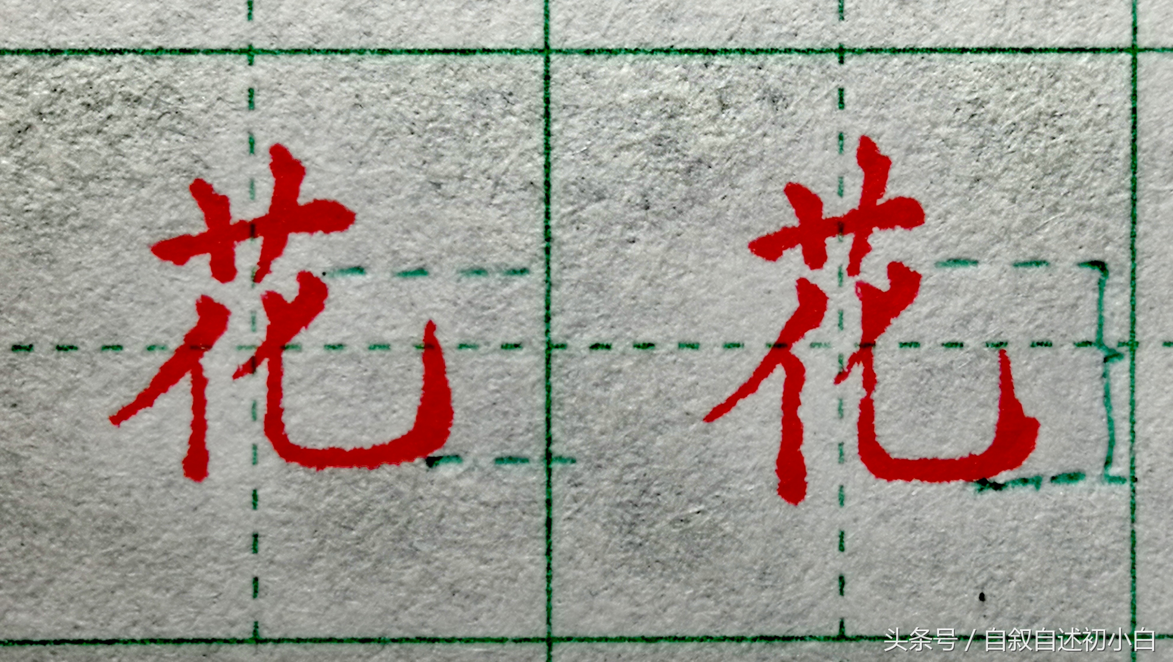 草字头的字草字头是这样规范书写的