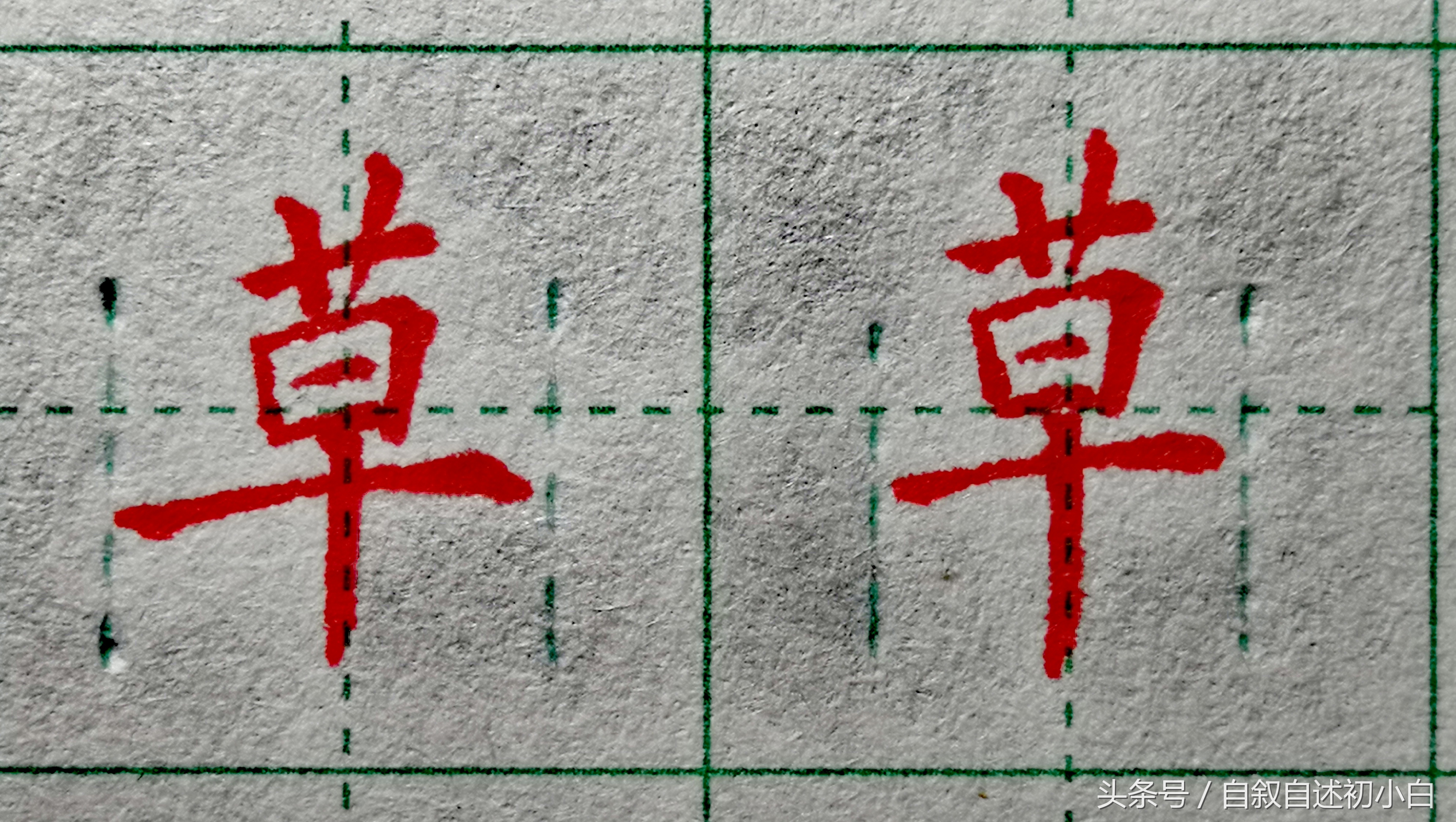 草字头的字草字头是这样规范书写的