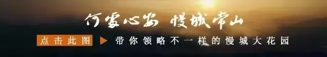 嗨翻天!“胡柚娃”陪你过国庆活动精彩纷呈