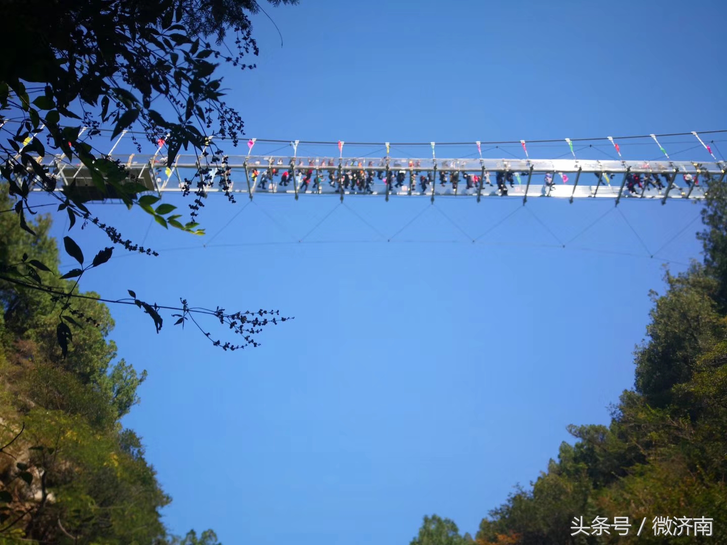 距市區不足3公里,濟南這個網紅玻璃棧道,你去了嗎?