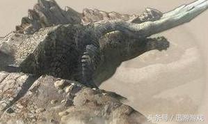 谁才是《怪物猎人》古龙中作战能力最强的？祖龙黑蚀龙在其列