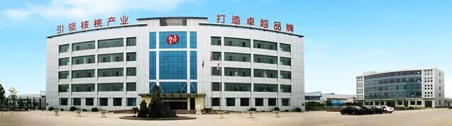 核桃乳饮料领导品牌｜六个核桃·养元智汇启动阿米巴咨询项目