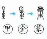 二年级语文上生字笔顺动图演示（第三单元）一笔一划教