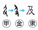 二年级语文上生字笔顺动图演示（第三单元）一笔一划教