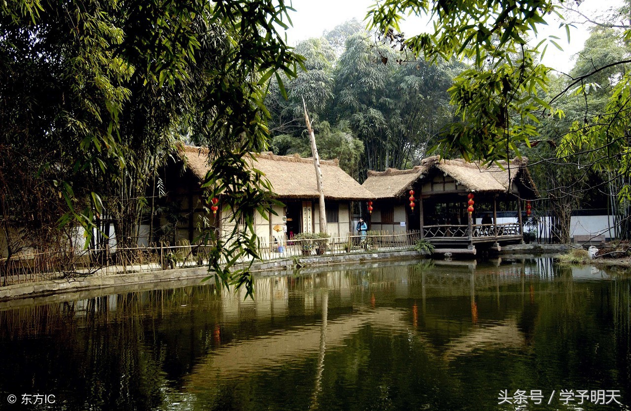 大语文学习：小升初古诗《江畔独步寻花》