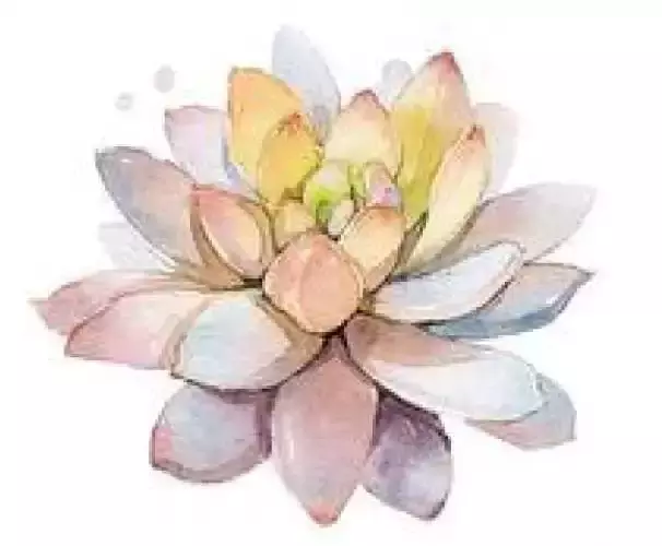 马泽伟：泼妇