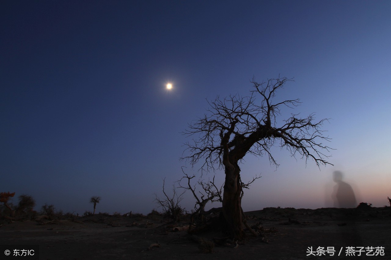 每日一首唐诗｜《月下独酌》作者：李白