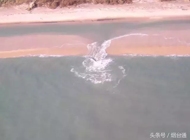 中国奥运会的溺是项目有哪些(看见大海变这样请立即上岸！8人溺水，4人身亡！一定要看好这些！)