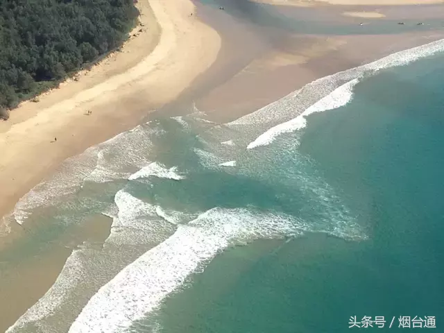 中国奥运会的溺是项目有哪些(看见大海变这样请立即上岸！8人溺水，4人身亡！一定要看好这些！)