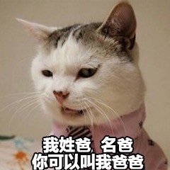 猫咪斗图表情包：我姓爸，名爸，你可以叫我爸爸