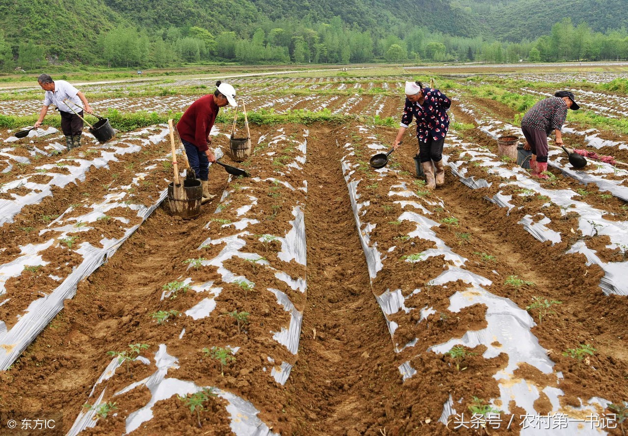 遇到村干部强行收地进行土地流转，村民该如何维权？