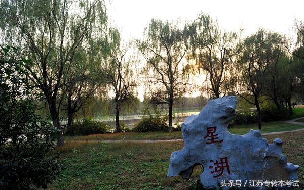 江苏专转本：南京大学金陵学院