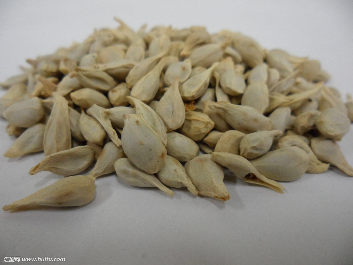 盐橘核功效与作用(盐橘核的功效与作用主要治什么病)-我的快乐小窝