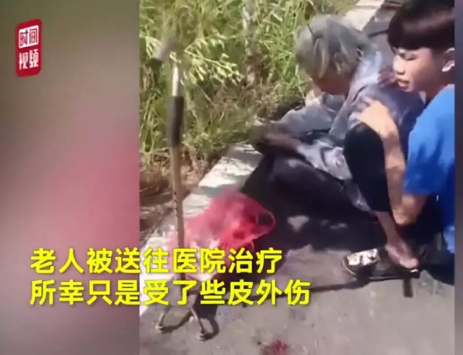 请向法院跪下榴莲。女孩叫前男友
