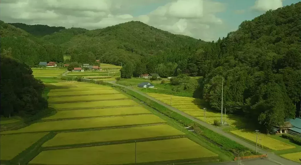 这10部日本电影,是无数人心中的最佳!