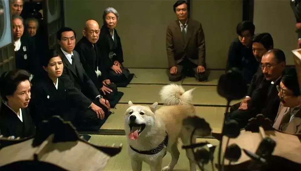 这10部日本电影,是无数人心中的最佳!