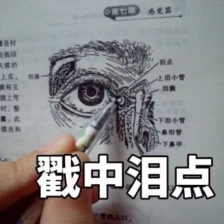 医学生斗图表情包大全