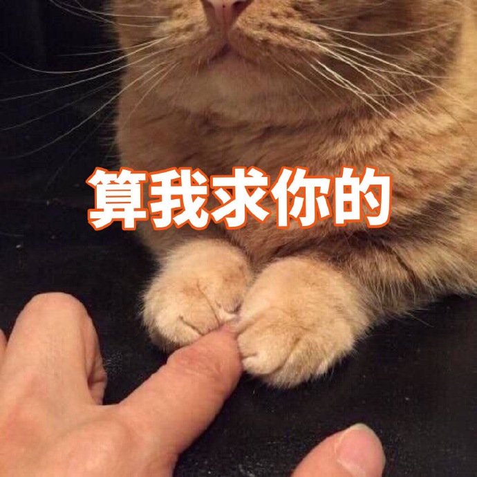 猫咪表情包：你有对象了？哪个淘宝店买的