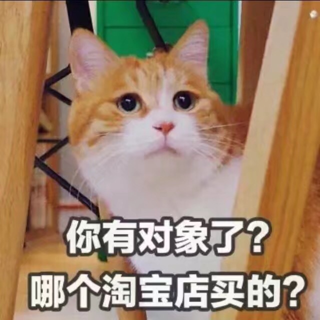 猫咪表情包：你有对象了？哪个淘宝店买的