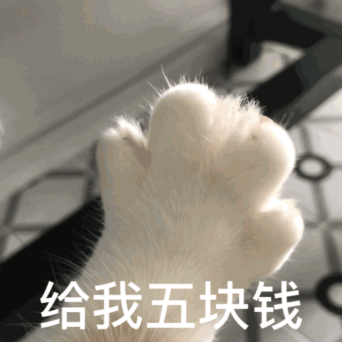 猫咪表情包：你有对象了？哪个淘宝店买的