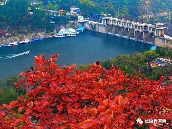 河南南阳太赞！老人只要年满60岁，就能免景区门票