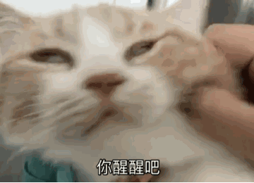 天津最贵的19样东西，竟然看哭了！果然贫穷限制了想象力……